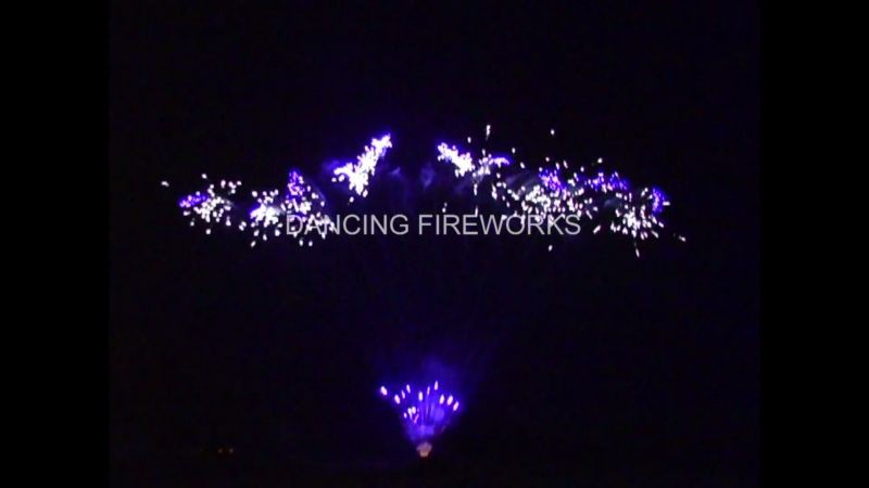 NO[00_00_25][20200515-101348](001)